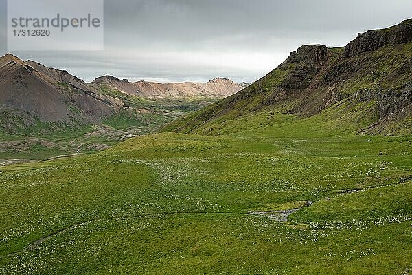 Brúnavík  Víknaslódir  Island  Europa