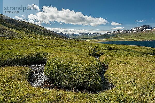 Bachlauf  Borgarfjörður  Island  Europa