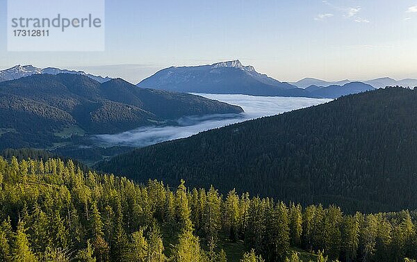 Morgenstimmung im Alpenvorland  Berchtesgadener Land  Oberbayern  Bayern  Deutschland  Europa