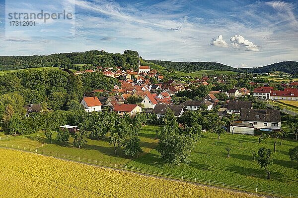 Weindorf Castell  bei Wiesentheid  Steigerwald  Unterfranken  Franken  Bayern  Deutschland  Europa