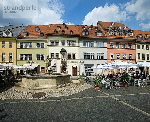 Neptunbrunnen und Hofapotheke  Marktplatz  Weimar  Thüringen  Deutschland  Europa