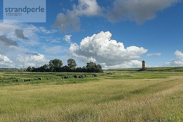 Deichlandschaft mit Pilsumer Leuchtturm  Pilsum  Niedersachsen  Deutschland  Europa