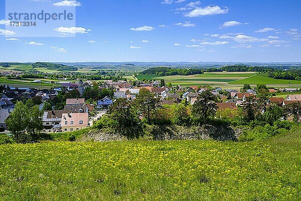 Geotop am Kalvarienberg  Kraterrand  Nördlinger Ries  Rieskrater  Gosheim  Huisheim bei Wemding  Nördlinger Ries  Bayern  Deutschland  Europa