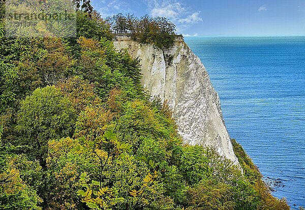 Aussicht auf den Königsstuhl  Nationalpark Jasmund  UNESCO-Weltnaturerbe  Insel Rügen  Mecklenburg-Vorpommern  Deutschland  Europa