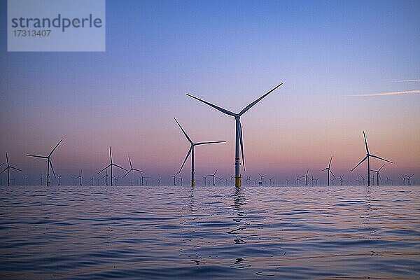 Norther Offshore Windpark nahe Knokke  Belgien bei Sonnenaufgang