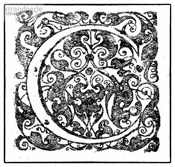 Initiale oder ein Initial C  schmückender Anfangsbuchstabe  Kupferstich von Basilius Besler  aus Hortus Eystettensis  1613