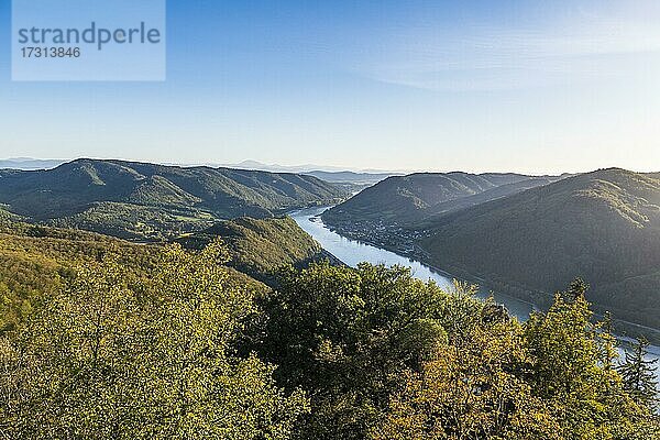 Blick von der Burg Aggstein über die Donau. Wachau  Österreich  Europa