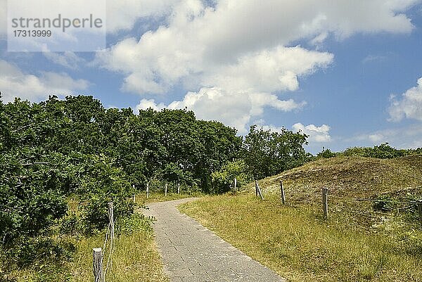 Weg im Dünengebiet von Spiekeroog  Ostfriesische Insel  Ostfriesland  Niedersachsen  Deutschland  Europa