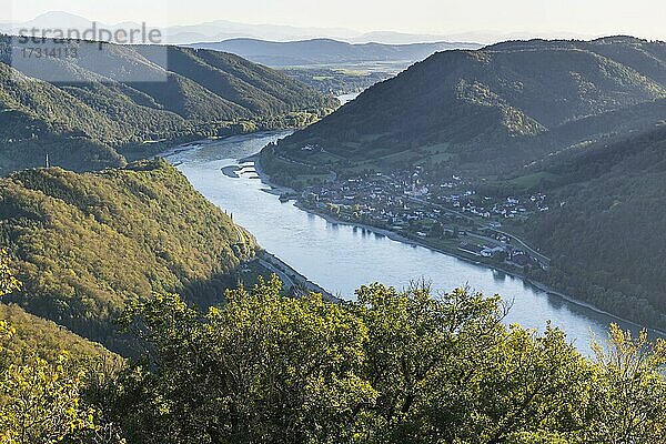 Blick von der Burg Aggstein über die Donau. Wachau  Österreich  Europa