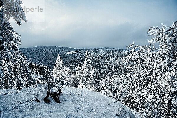 Gefrorene Bank  Fichten und Schnee bei Aussichtspunkt auf Schmücke und Schneekopf im Winter  Schmücke Schneekopf Blick  Thüringer Wald  Thüringen  Deutschland  Europa