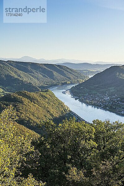 Blick von der Burg Aggstein über die Donau. Wachau  Österreich  Europa