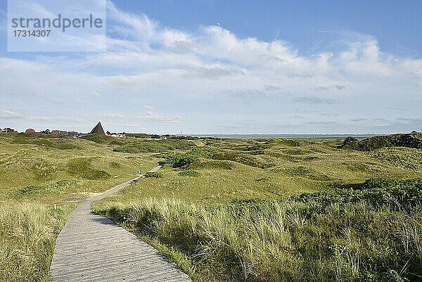 Weg im Dünengebiet von Spiekeroog  Ostfriesische Insel  Ostfriesland  Niedersachsen  Deutschland  Europa