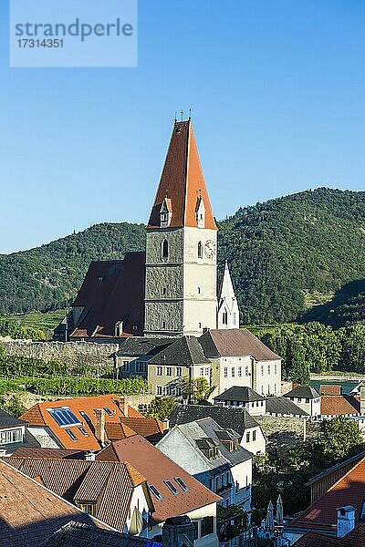 Kirche Pfarrkirche Mariä Himmelfahrt in Weißenkirchen an der Donau  Wachau  Österreich  Europa