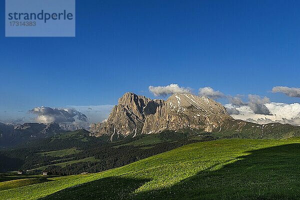 Blick auf die Gipfel des Langkofels (links) und des Plattkofels (rechts)  Seiseralm  Südtirol  Italien  Europa