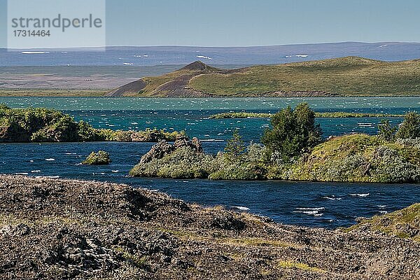 Stürmischer Tag  Mývatn  Nordisland  Island  Europa