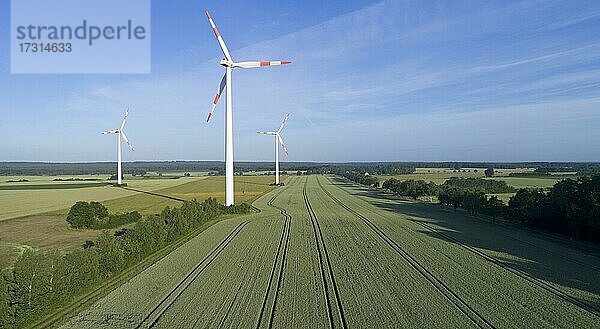 Luftaufnahme  Windkraftwerke bei Sülbeck  Niedersachsen  Deutschland  Europa