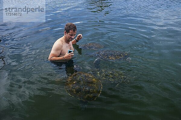 Touristen spielen mit Schildkröten in der Schildkrötenlagune von Satoalepai  Savai'i  Südpazifik  Samoa  Ozeanien