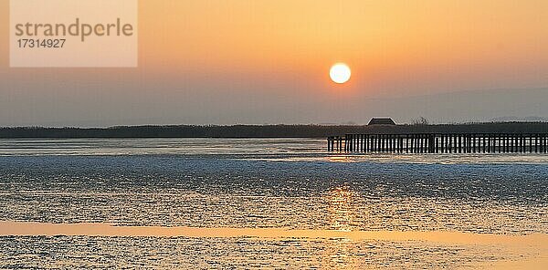 Sonnenuntergang im Winter  letzte Eisflächen  Neusiedler See  Breitenbrunn  Burgenland  Österreich  Europa