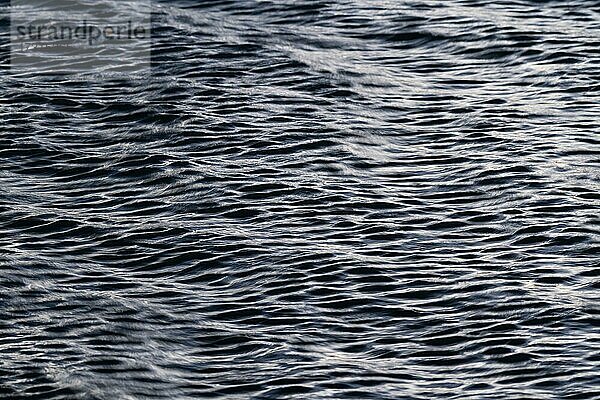 Kleine Wellen auf Wasseroberfläche  Mývatn  Nordisland  Island  Europa