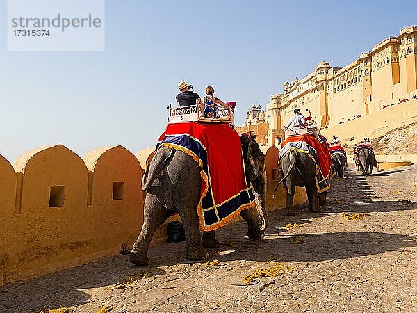 Elefanten für den Touristen-Transport  Amber Fort  Jaipur  Rajasthan  Indien  Asien