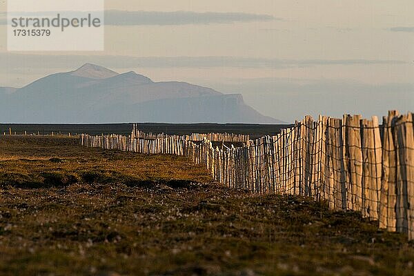 Zaun aus Treibholz  Halbinsel Skagi  Island  Europa