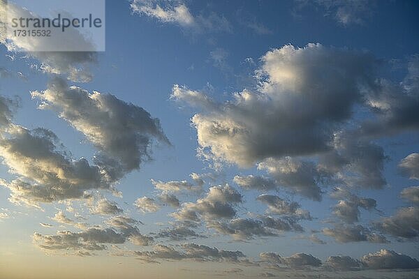 Quellwolken  kurz vor Sonnenuntergang  Baden-Württemberg  Deutschland  Europa