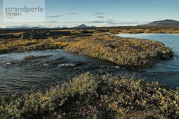 Oase Herðubreiðarlindir  im Hintergrund Tafelvulkan Herðubreið oder Herdubreid  isländisches Hochland  Island  Europa