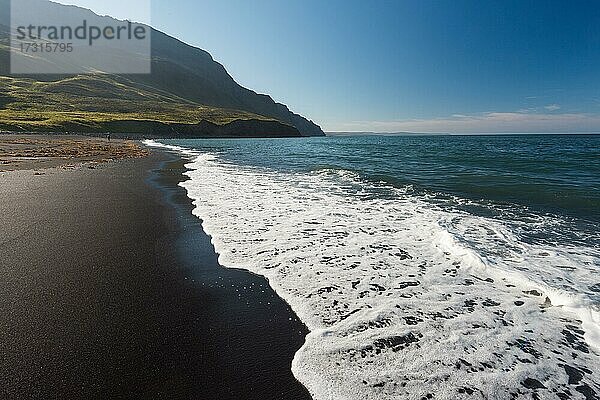 Strand  Sandvík  Reykjadiskur  Skagafjörður  Nordisland  Island  Europa