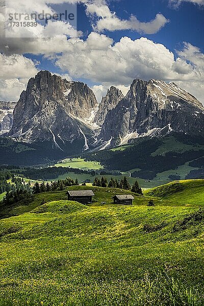 Blick auf die Gipfel des Langkofels (links) und des Plattkofels (rechts)  Seiseralm  Südtirol  Italien  Europa