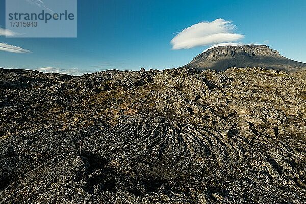 Erstarrte Lava  Tafelvulkan Herðubreið oder Herdubreid  isländisches Hochland  Island  Europa