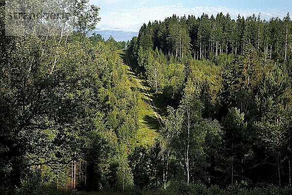 Kolonnenweg  Lochplattenweg  steiler Wanderweg durch Wald  Grünes Band  Grenzweg  ehemalige deutsch-deutsche Grenze  bei Nordhalben  Bayern  Deutschland  Europa