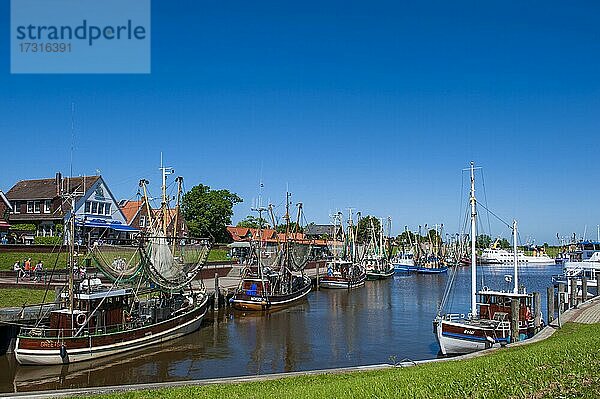 Kutter im Hafen von Greetsiel  Krummhörn  Ostfriesland  Niedersachsen  Nordsee  Deutschland  Europa