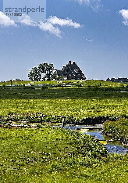 Die Kirchwarft mit Marschlandschaft und Entwässerungsgräben  Hallig Hooge  Nordfriesland  Schleswig-Holstein  Deutschland  Europa