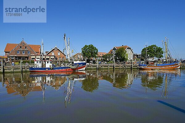 Fischerboot im Hafen  Neuharlingersiel  Ostfriesland  Niedersachsen  Deutschland  Europa