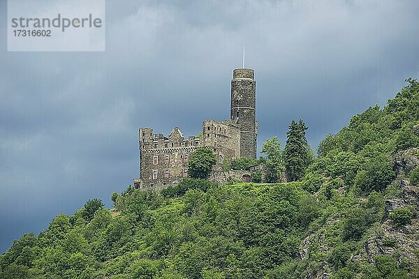 Burg Maus mit Blick auf den Rhein  Unesco-Welterbe Mittelrheintal  Deutschland  Europa