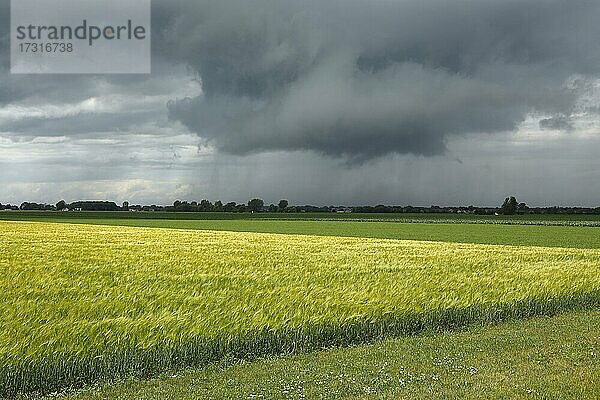 Gewitterwolken über Ackerland Provinz Quebec  Kanada  Nordamerika