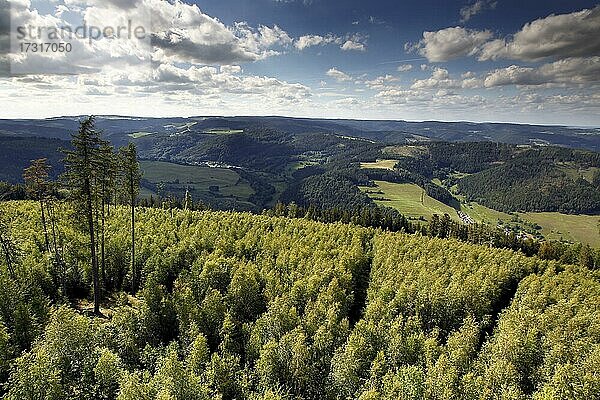 Blick von Thüringer Warte ins bayrisch-thüringische Grenzgebiet auf ehemalige Zonengrenze  Aussichtsturm auf dem Ratzenberg  Frankenwald  Thüringer Wald  Grünes Band  Grenzweg  ehemalige deutsch-deutsche Grenze  Ludwigsstadt-Lauenstein