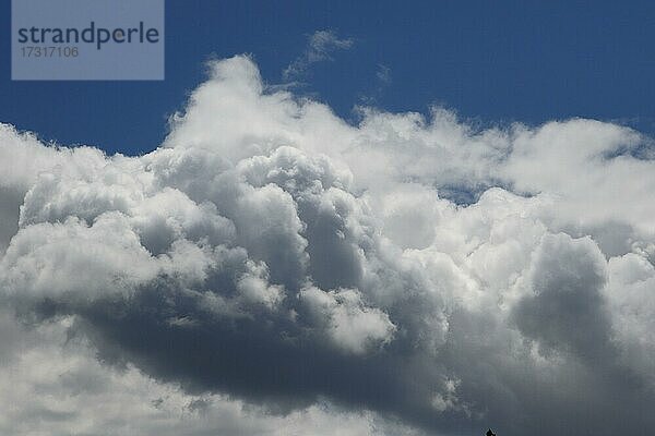 Gewitterwolken im Abendlicht  Provinz Quebec  Kanada  Nordamerika