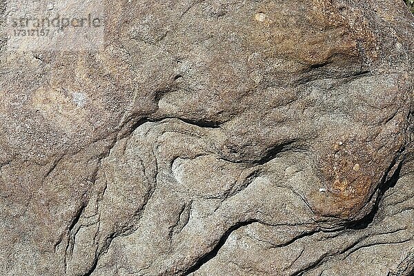 Steinmuster in einem trockenen Flussbett  Sankt-Lorenz-Strom  Provinz Quebec  Kanada  Nordamerika