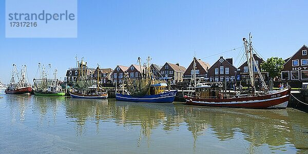 Krabbenkutter im Hafen  Neuharlingersiel  Ostfriesland  Niedersachsen  Deutschland  Europa