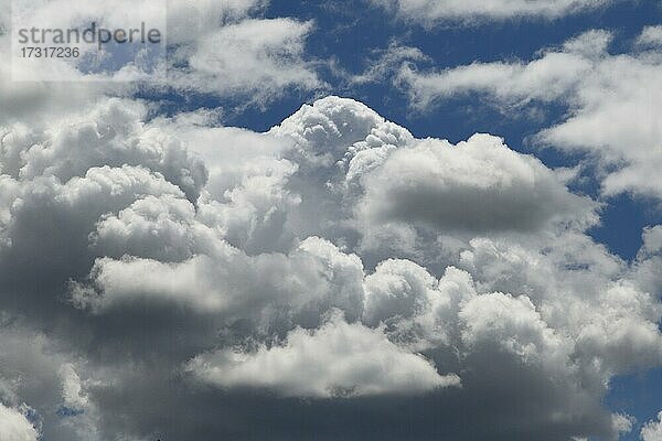 Gewitterwolken im Abendlicht  Provinz Quebec  Kanada  Nordamerika