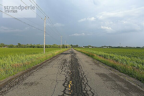 Landstraße über Felder mit Gewitterwolken  Provinz Quebec  Kanada  Nordamerika