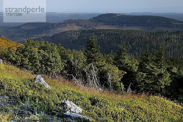 Aussicht auf den Harz von der Kuppe des Brocken  Granitblöcke  Blocksberg  Gipfelplateau  Nationalpark Harz  Schierke  Werningerode  Harz  Sachsen-Anhalt  Deutschland  Europa