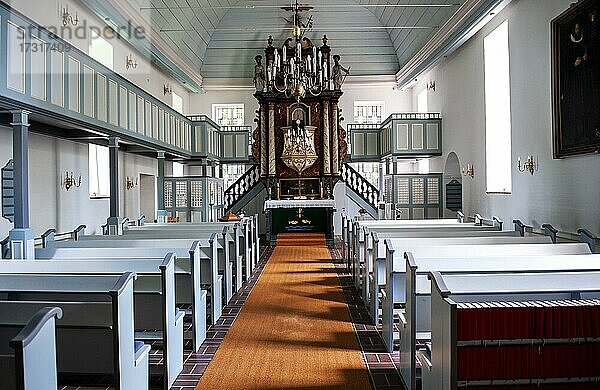 Innenraum mit Holztonnengewölbe und Kanzelaltar der St.-Nikolaus-Kirche  Brokdorf  Wilstermarsch  Unterelbe  Schleswig-Holstein  Deutschland  Europa