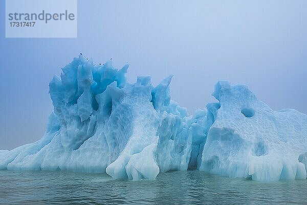 Unglaublich geformter Eisberg leuchtend blau  Franz Josef Land Archipel  Russland  Europa