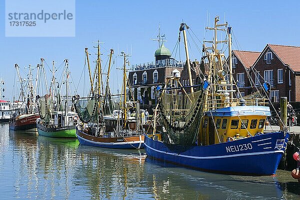 Fischerboote im Hafen  Neuharlingersiel  Ostfriesland  Niedersachsen  Deutschland  Europa