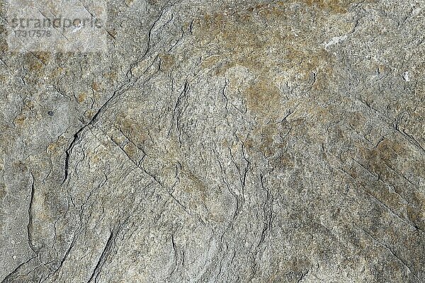 Steinmuster in einem trockenen Flussbett  Sankt-Lorenz-Strom  Provinz Quebec  Kanada  Nordamerika