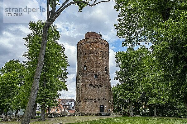 Amtsturm  ehemaliger Wehrturm des Schlosses im Amtsgarten Lüchow  Wendland  Niedersachsen  Deutschland  Europa