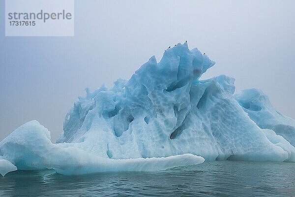 Unglaublich geformter Eisberg leuchtend blau  Franz Josef Land Archipel  Russland  Europa