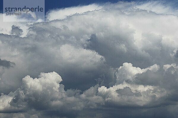 Gewitterwolken im Abendlicht  Provinz Quebec  Kanada  Nordamerika